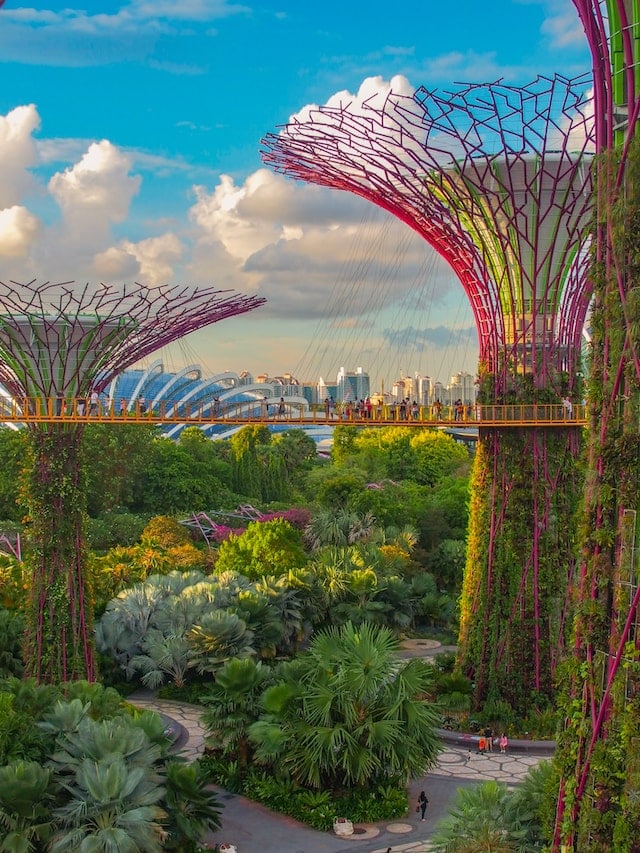Visiter Singapour : Exploration de la ville jardin et ses îles paradisiaques